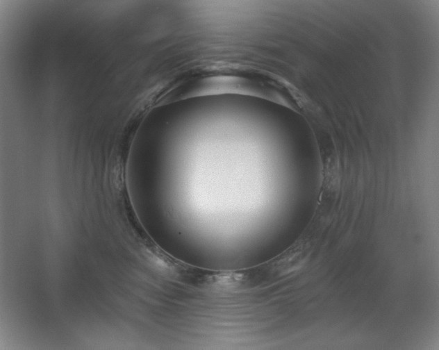 X0000068740474200604281144