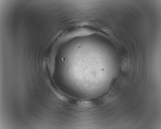 X0000068740476200604281144