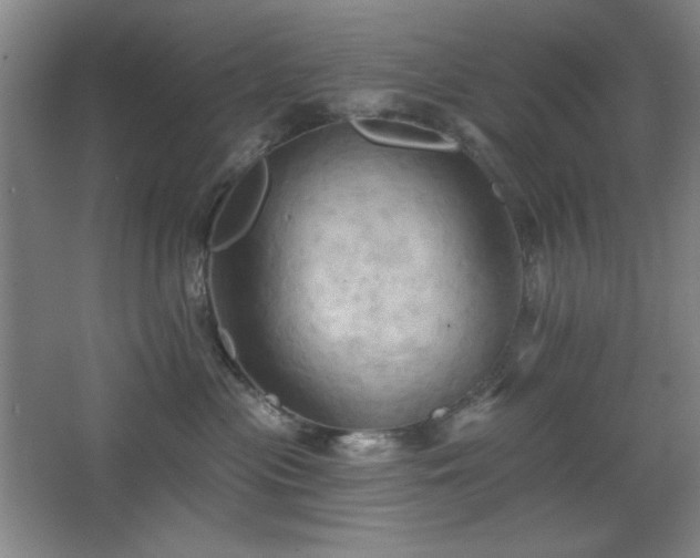 X0000068740477200604281144