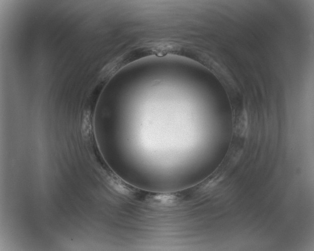 X0000068740478200604281144