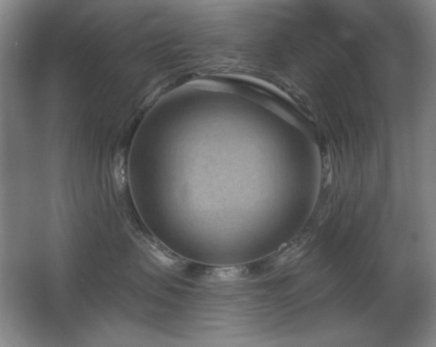 X0000068740479200604281144