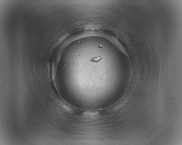 X0000068740480200604281144