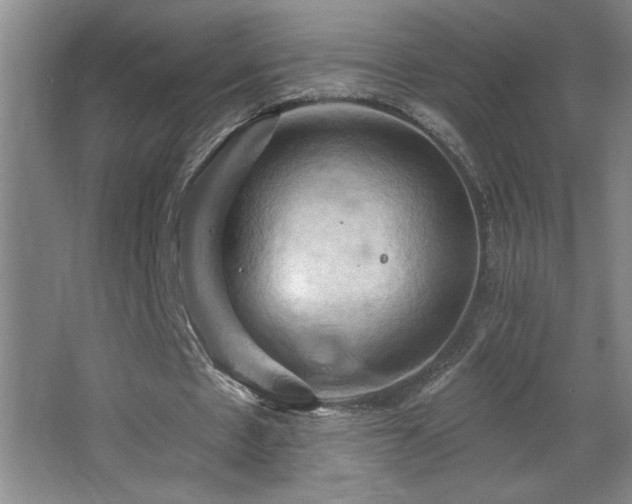 X0000068740481200604281143