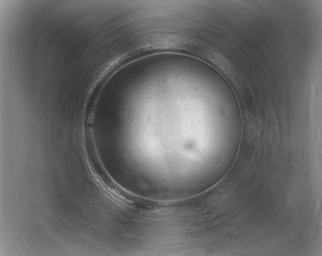 X0000068740482200604281143