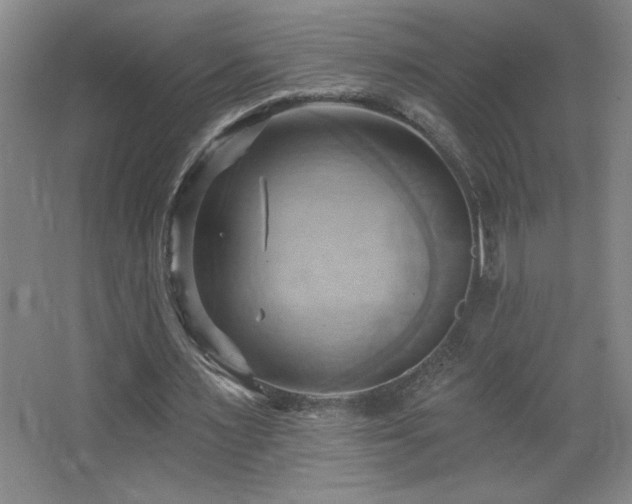 X0000068740483200604281143