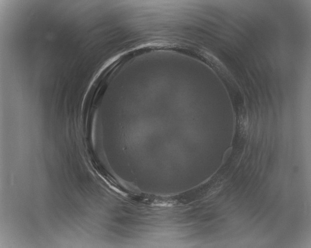 X0000068740484200604281143