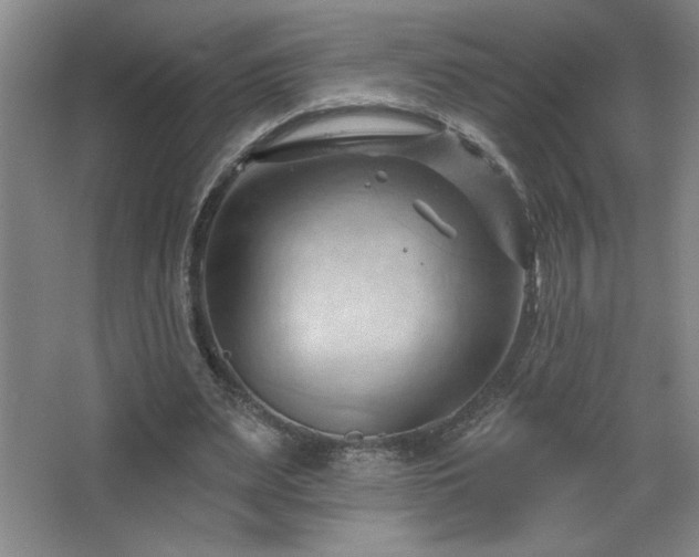 X0000068740487200604281143