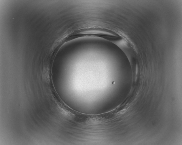 X0000068740489200604281143