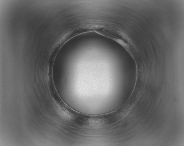 X0000068740490200604281143