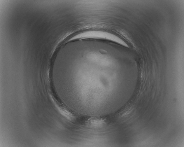 X0000068740491200604281143