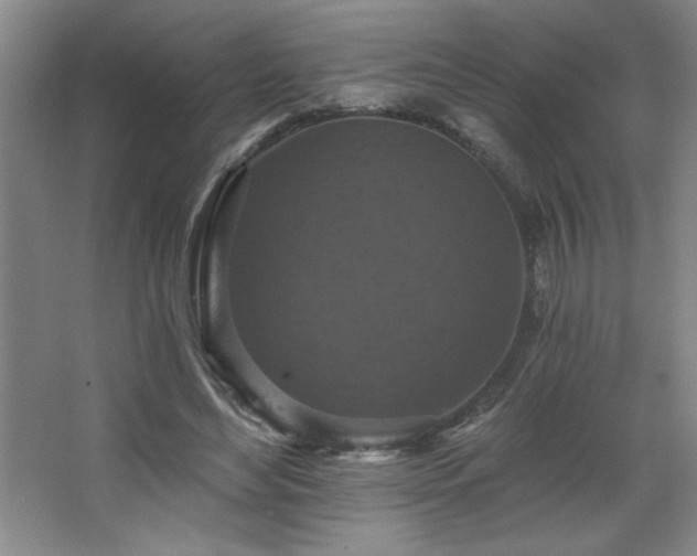 X0000068740492200604281143