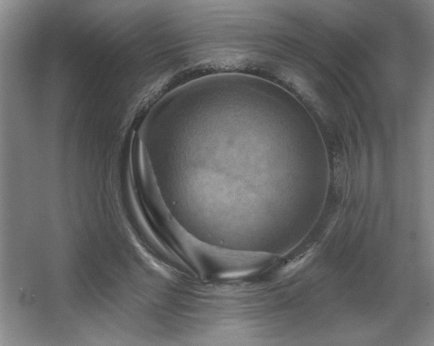 X0000068740493200604281143