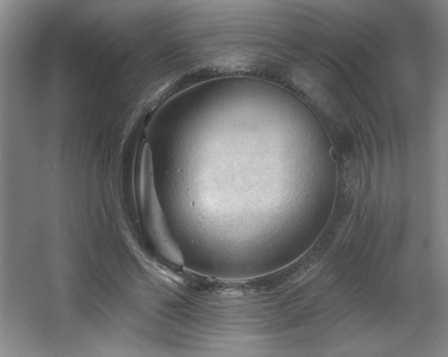 X0000068740494200604281143