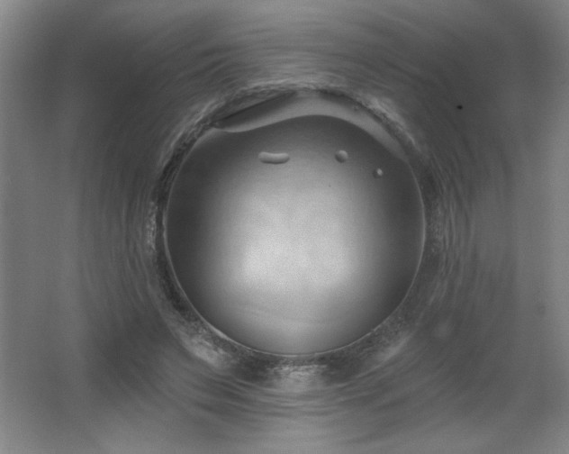 X0000068740495200604281143