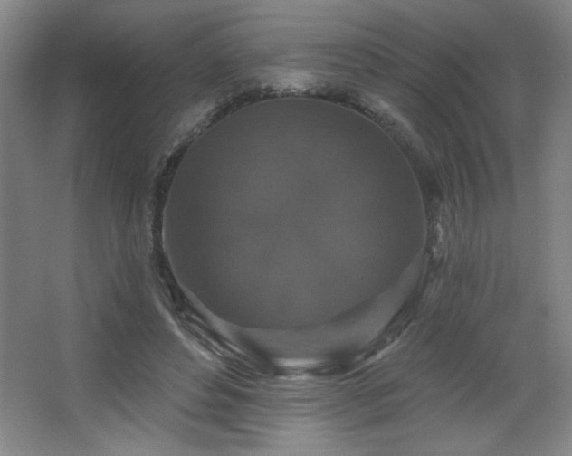 X0000068740496200604281143