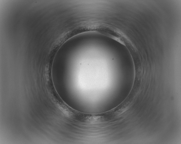 X0000068740497200604281143