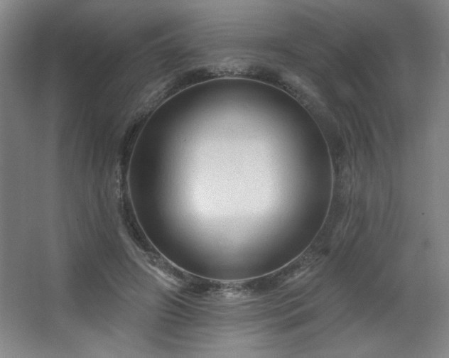 X0000068740498200604281143