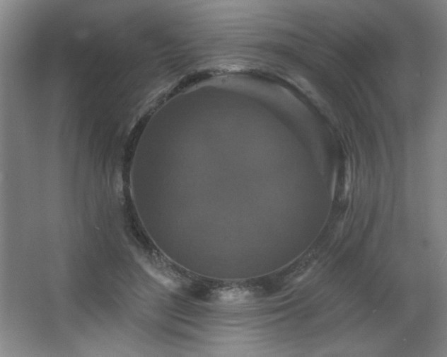 X0000068740500200604281143