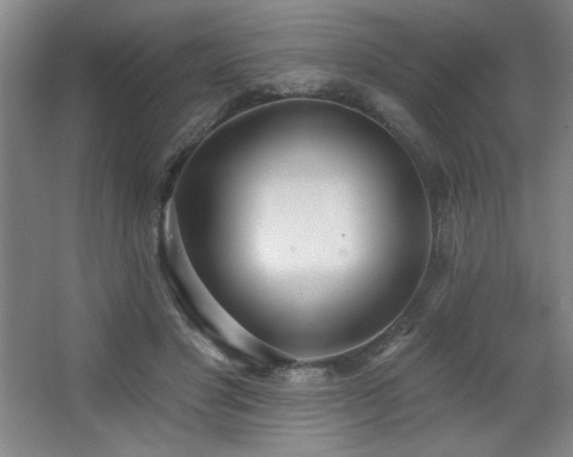 X0000068740501200604281143