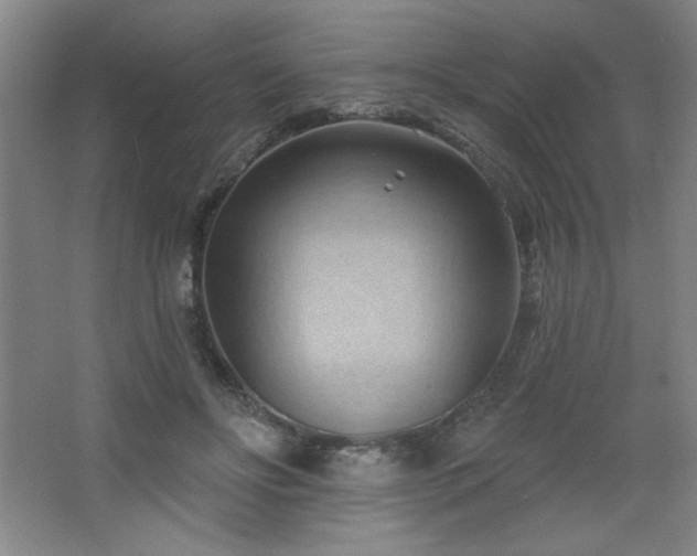 X0000068740502200604281143