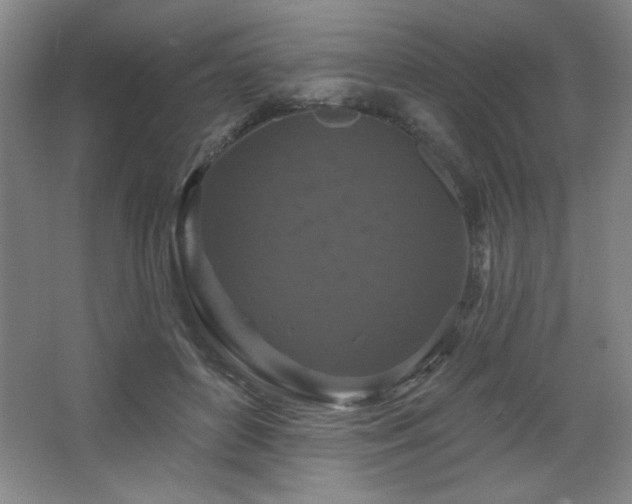 X0000068740504200604281143