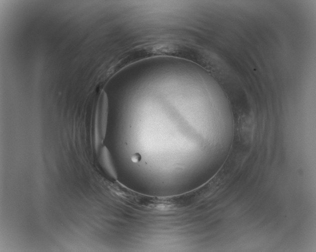 X0000068740506200604281143