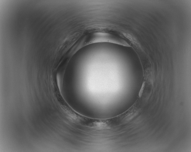 X0000068740509200604281143