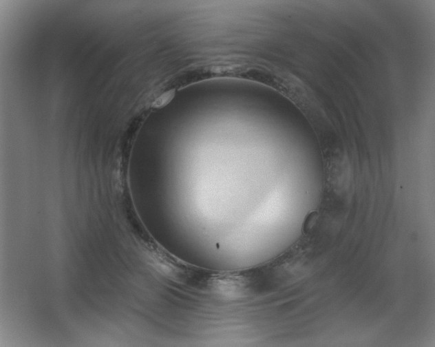 X0000068740510200604281143