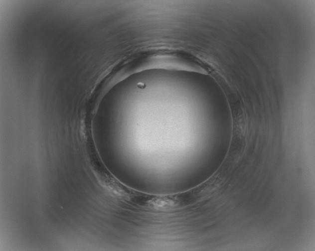 X0000068740512200604281143