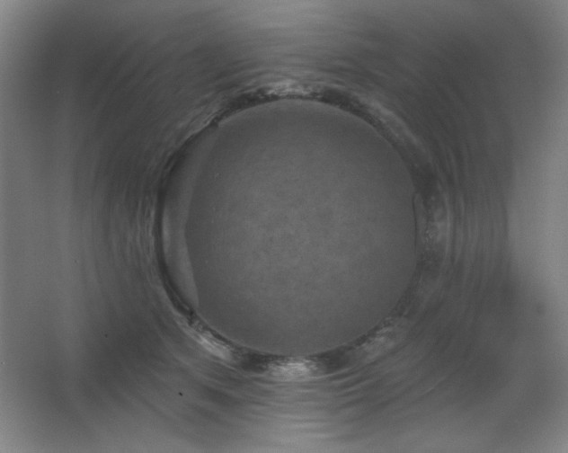 X0000068740513200604281143