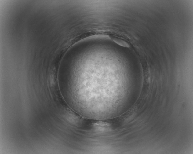 X0000068740515200604281143