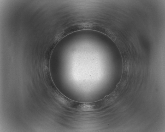 X0000068740518200604281143