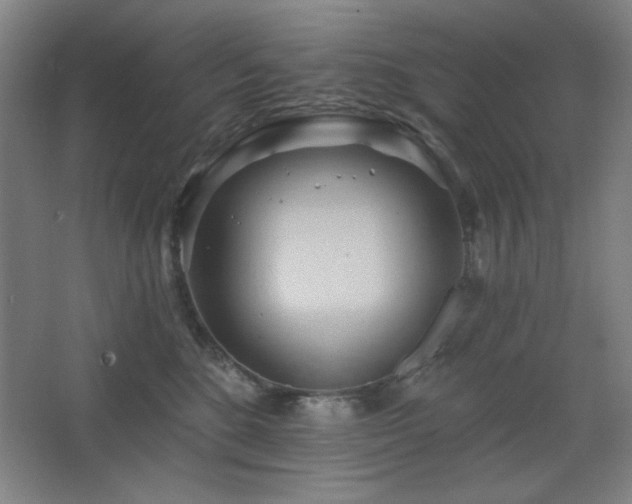 X0000068740520200604281143