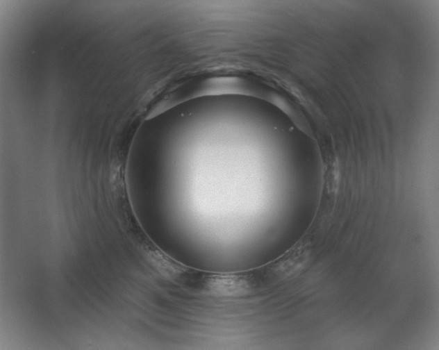 X0000068740521200604281143