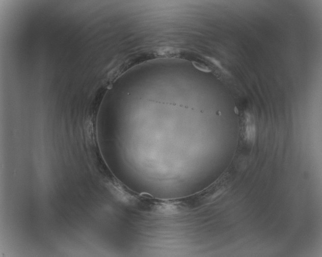 X0000068740523200604281143