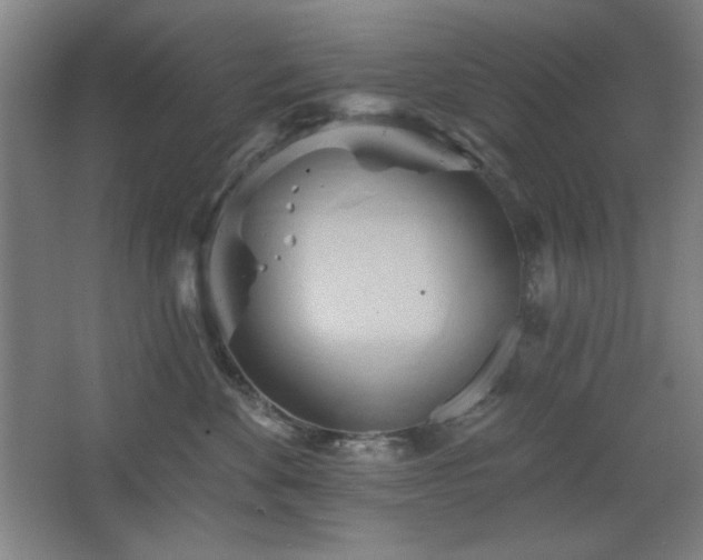 X0000068740524200604281143