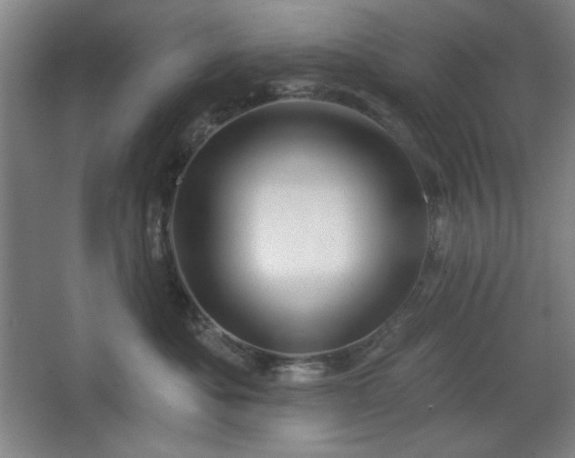 X0000068740525200604281143