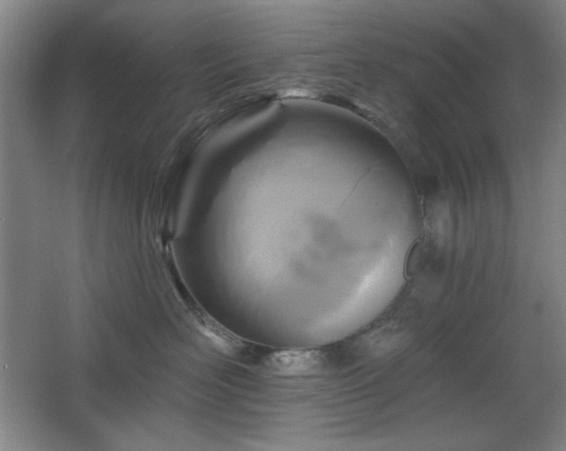 X0000068740526200604281143