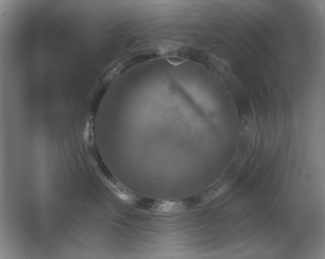 X0000068740527200604281143