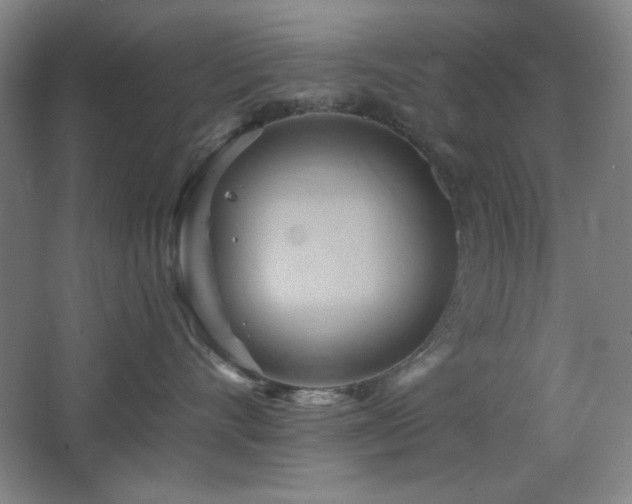 X0000068740528200604281143