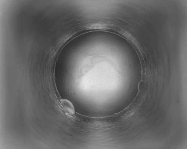 X0000068740529200604281142