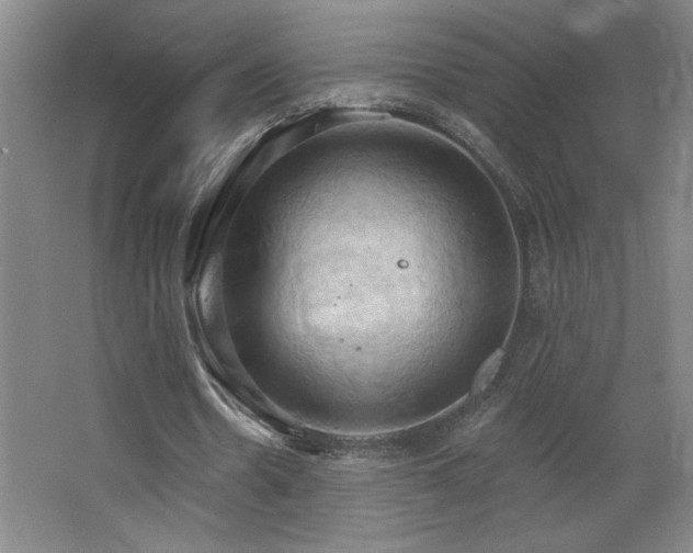 X0000068740530200604281142