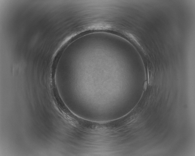 X0000068740531200604281142