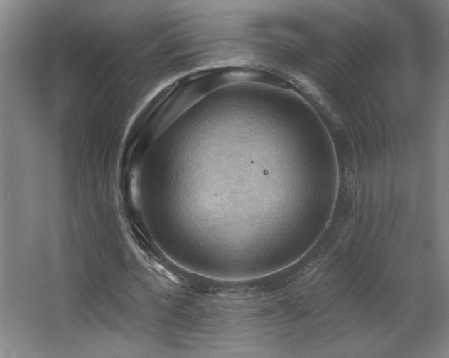 X0000068740532200604281142