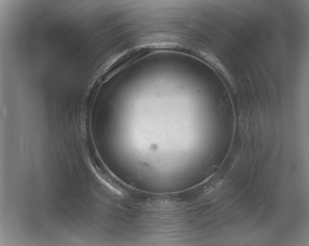 X0000068740533200604281142