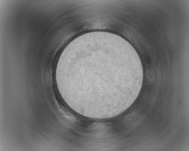 X0000068740534200604281142