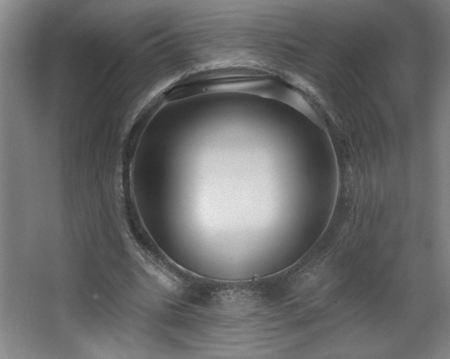 X0000068740535200604281142