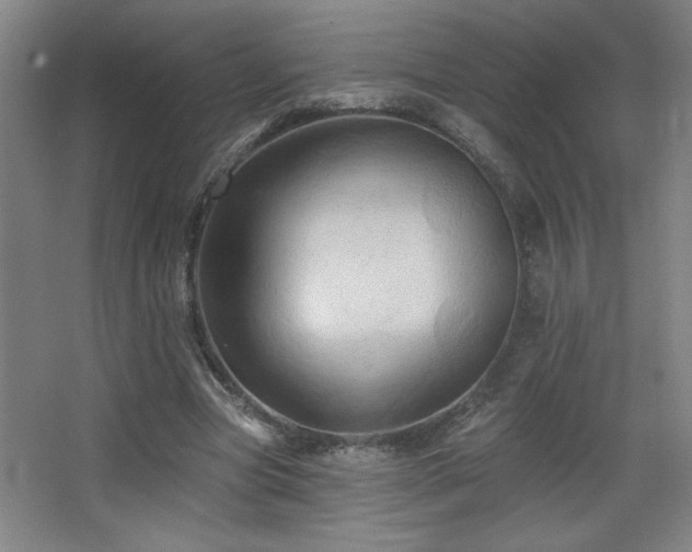 X0000068740537200604281142