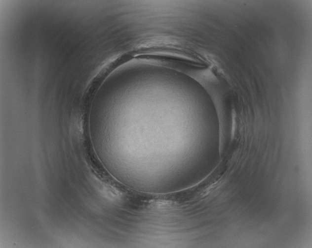 X0000068740539200604281142