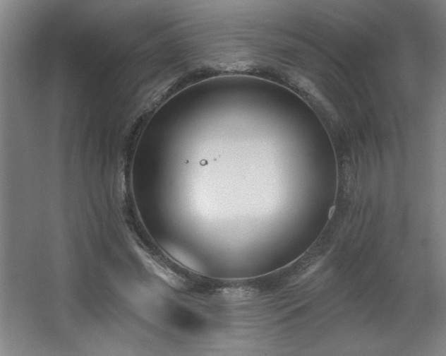 X0000068740541200604281142